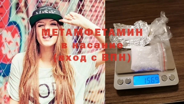 гидра Алексин