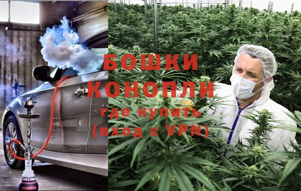 спайс Алзамай