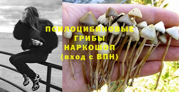 прущая мука Абдулино