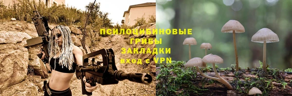 гидра Алексин