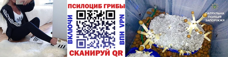 Псилоцибиновые грибы мицелий  Десногорск 